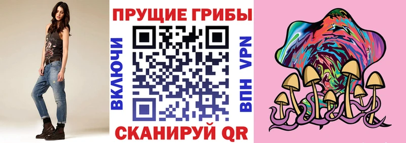 Купить закладки  Багратионовск  Псилоцибиновые грибы ЛСД 
