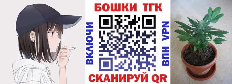 Бошки Шишки планчик Багратионовск